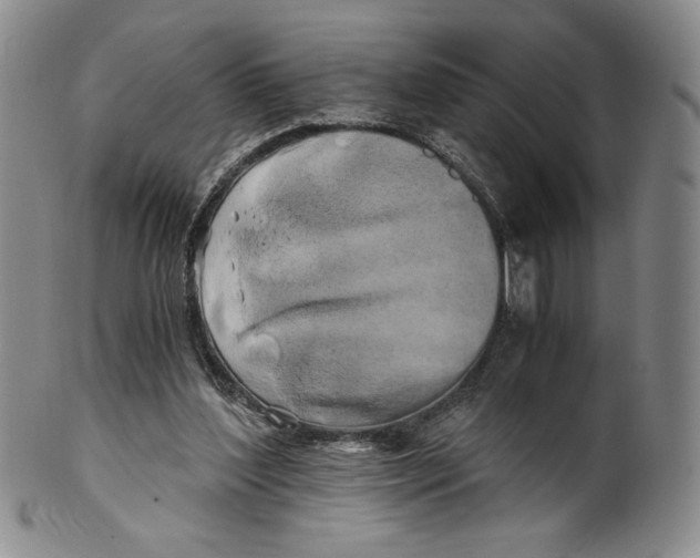 X0000100760204200807101736