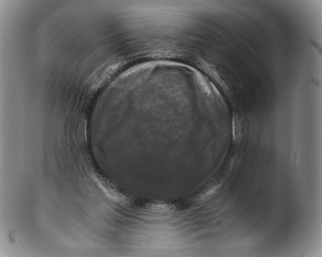 X0000100760205200807101736