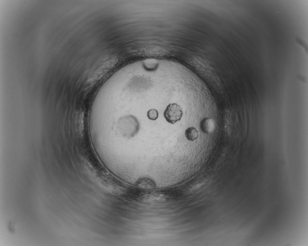 X0000100760206200807101736