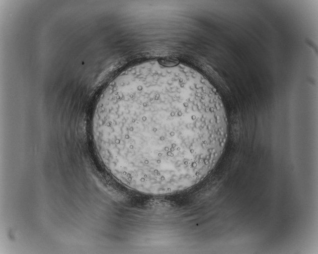 X0000100760207200807101736