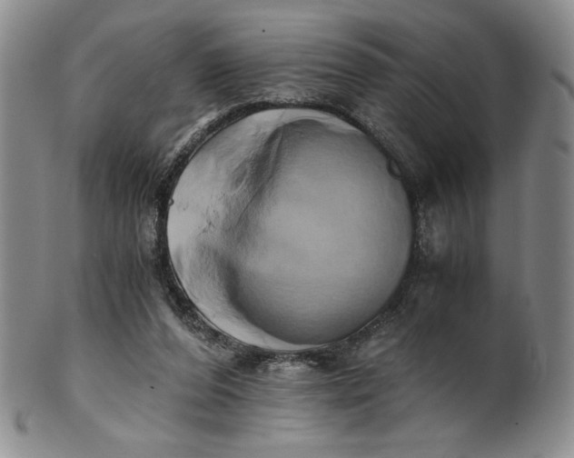 X0000100760208200807101736