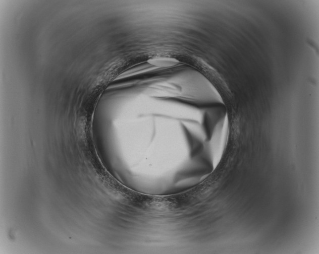X0000100760209200807101736