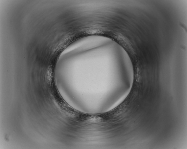 X0000100760210200807101736