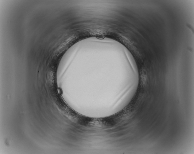 X0000100760211200807101736