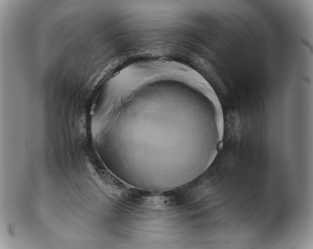 X0000100760212200807101736