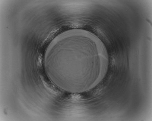 X0000100760214200807101735