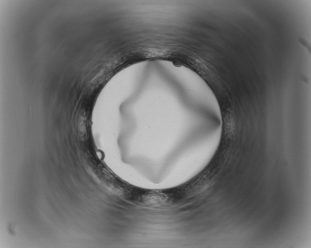 X0000100760215200807101735