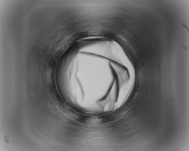 X0000100760217200807101735
