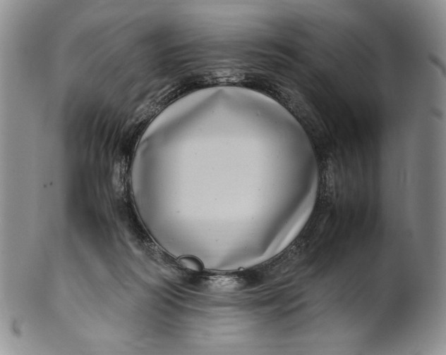 X0000100760218200807101735