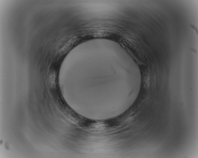 X0000100760219200807101735