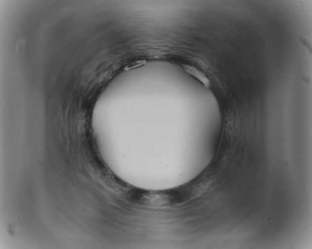 X0000100760221200807101735
