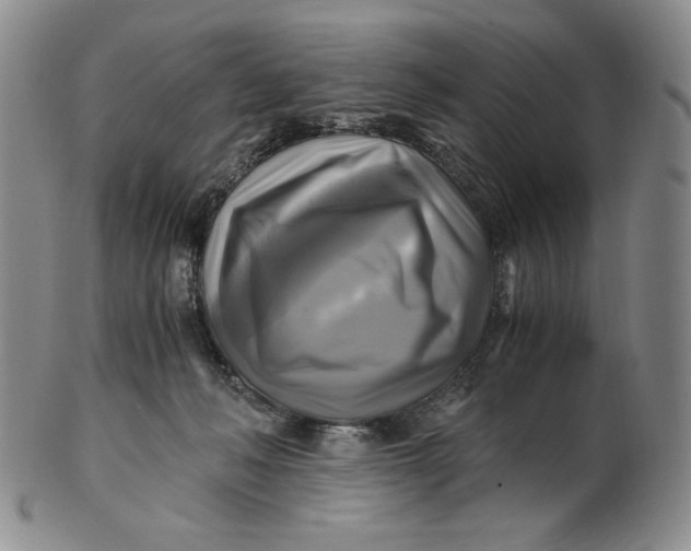 X0000100760222200807101735