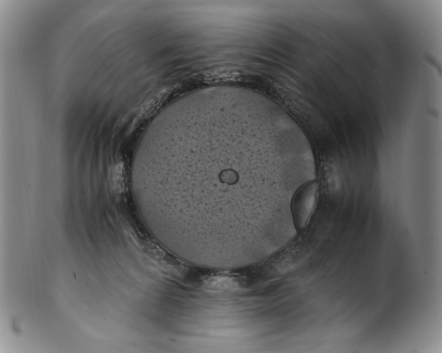 X0000100760224200807101735