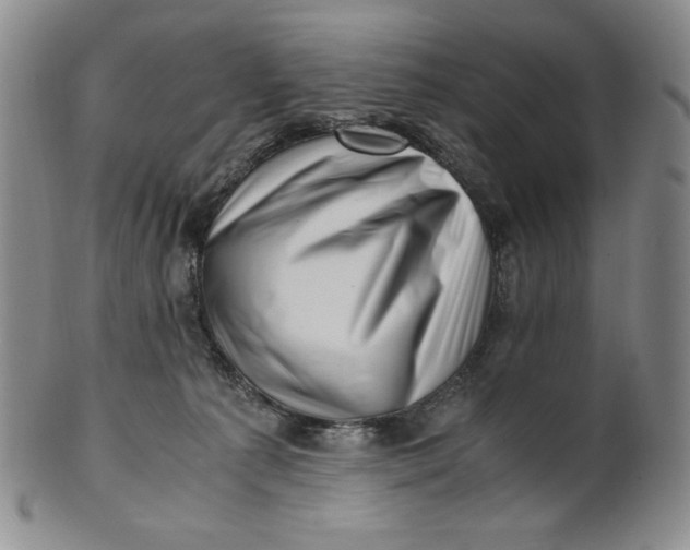 X0000100760225200807101735