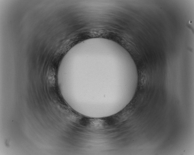 X0000100760226200807101735