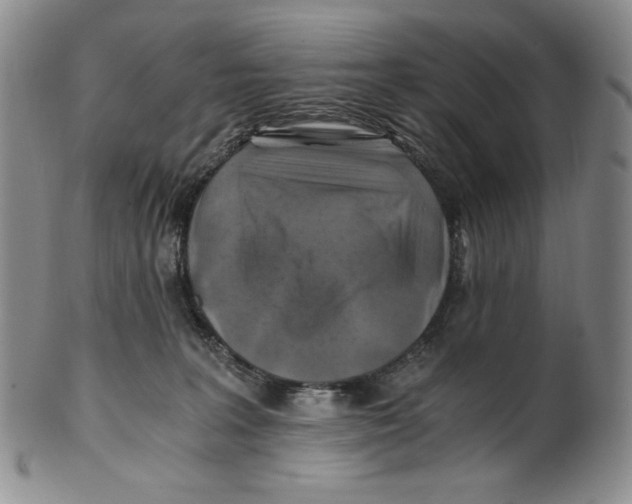 X0000100760227200807101735