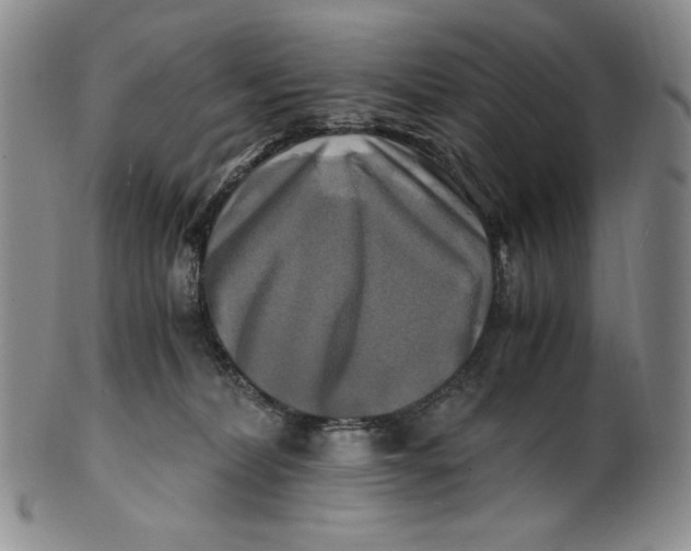 X0000100760228200807101735