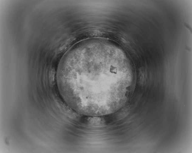 X0000100760230200807101735