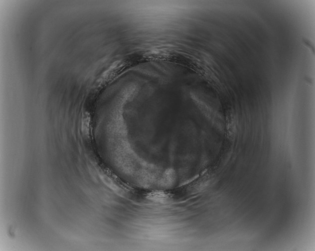 X0000100760231200807101735