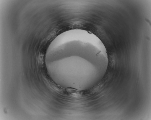 X0000100760232200807101735