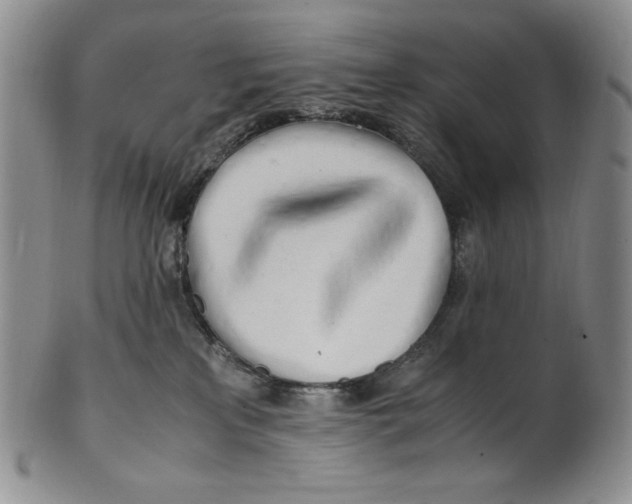 X0000100760233200807101735