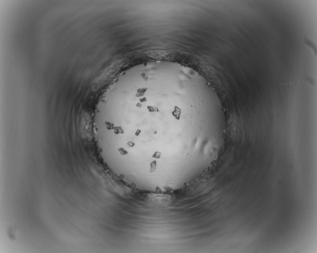 X0000100760234200807101735