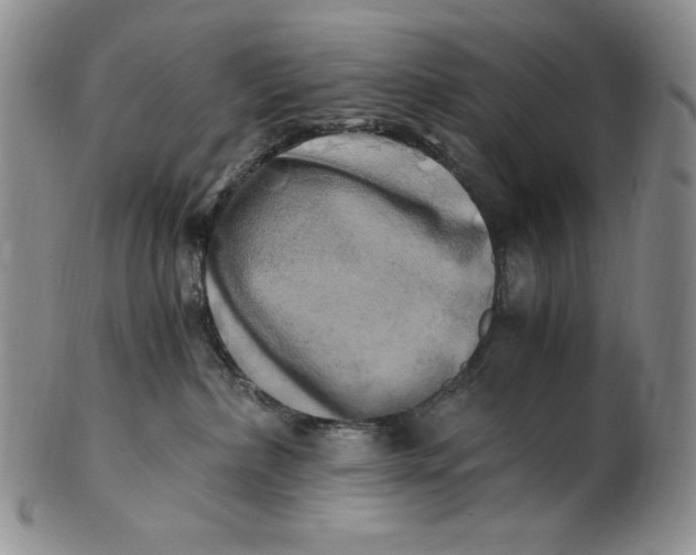 X0000100760236200807101735