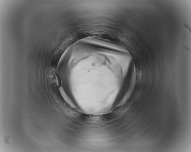 X0000100760237200807101735