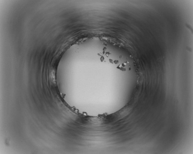 X0000100760238200807101735