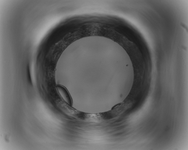 X0000100760239200807101735