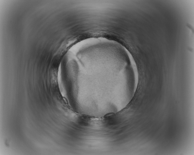 X0000100760240200807101735