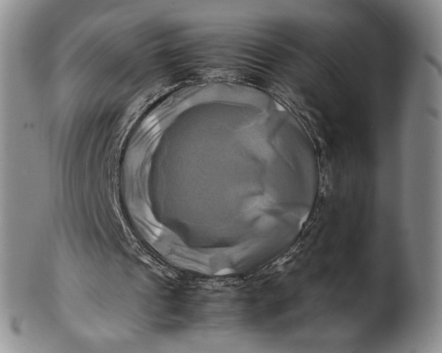 X0000100760241200807101734