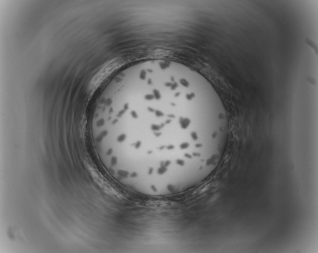 X0000100760242200807101734
