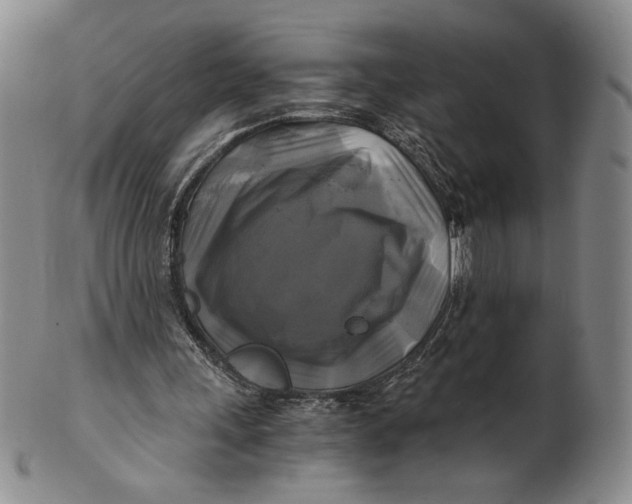 X0000100760243200807101734