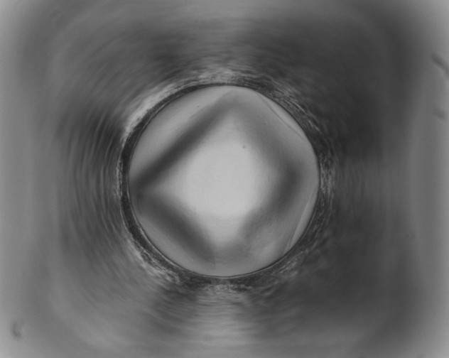 X0000100760244200807101734