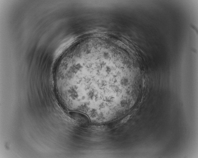 X0000100760245200807101735
