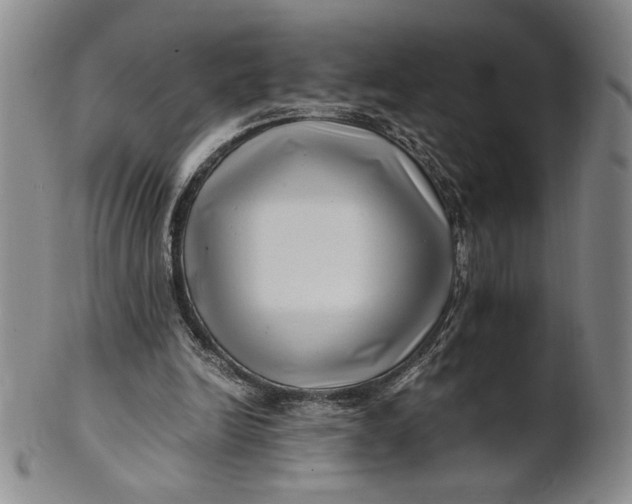 X0000100760246200807101735