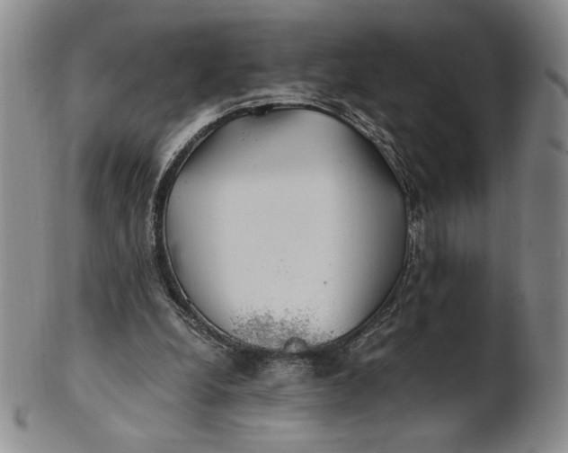 X0000100760248200807101735