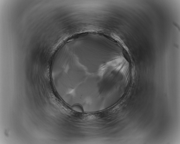 X0000100760249200807101735