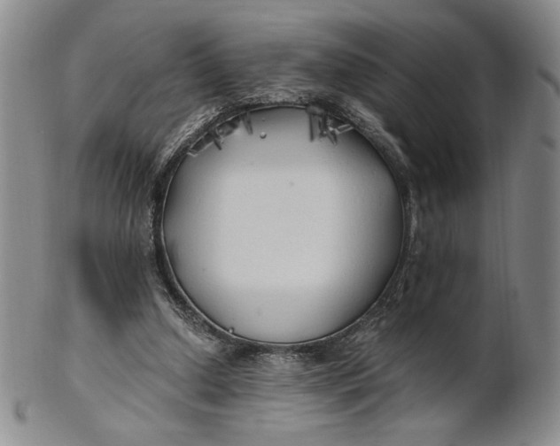 X0000100760250200807101735