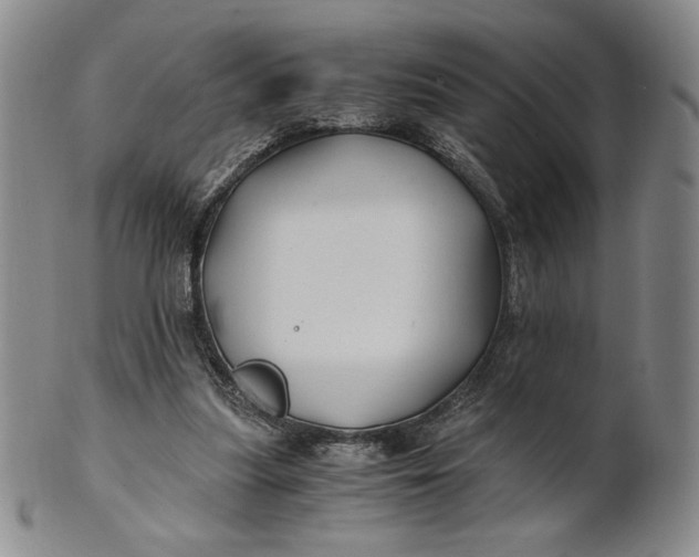 X0000100760251200807101735