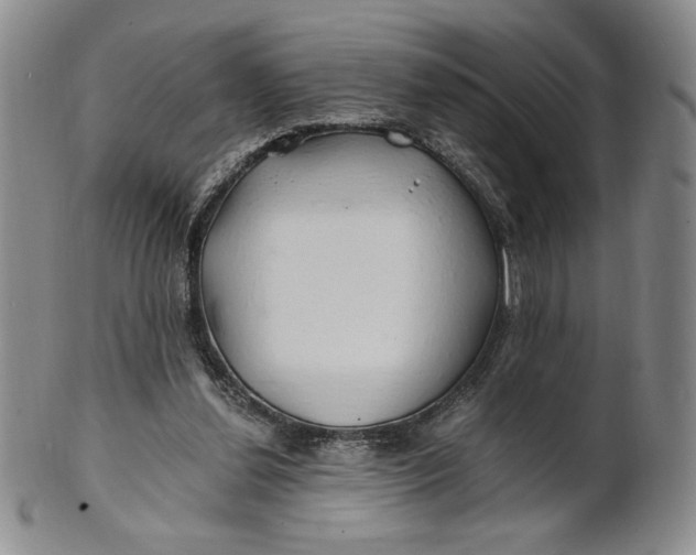 X0000100760252200807101735