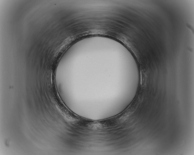 X0000100760253200807101735