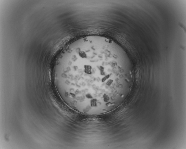 X0000100760254200807101735