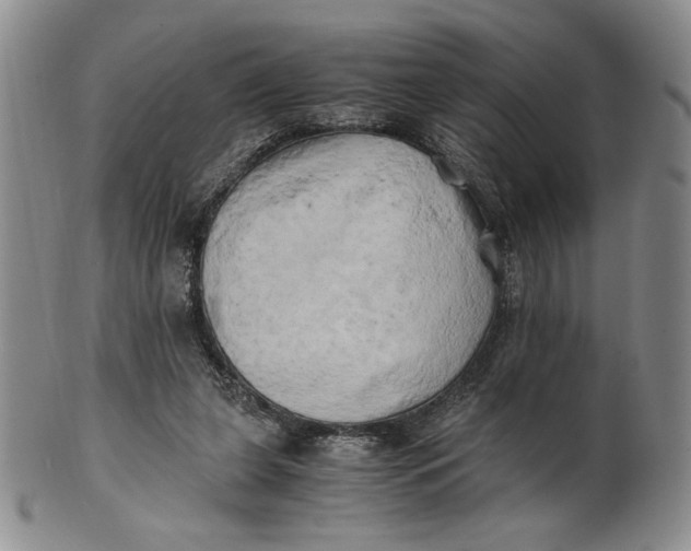 X0000100760255200807101735