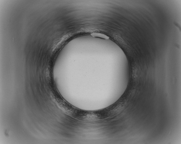 X0000100760256200807101735