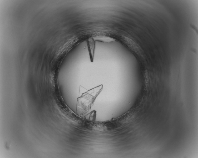 X0000100760258200807101735