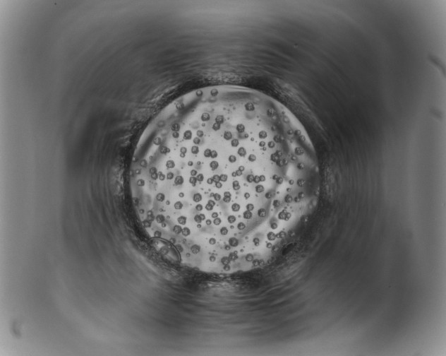 X0000100760259200807101735
