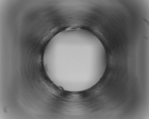 X0000100760260200807101735