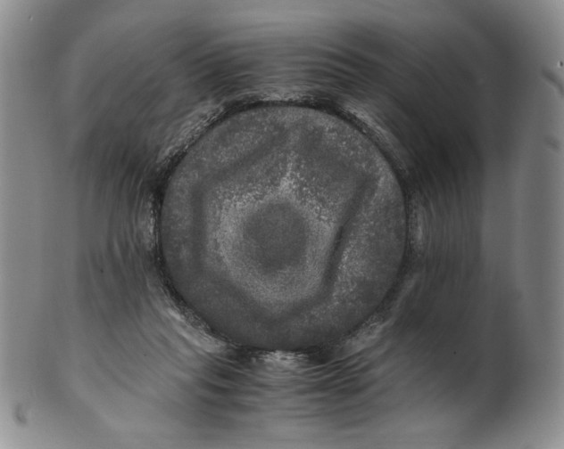 X0000100760261200807101735